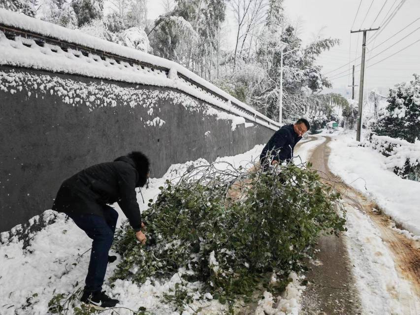 清除农村公路旁被积雪压断的树枝，排除安全隐患。单位供图