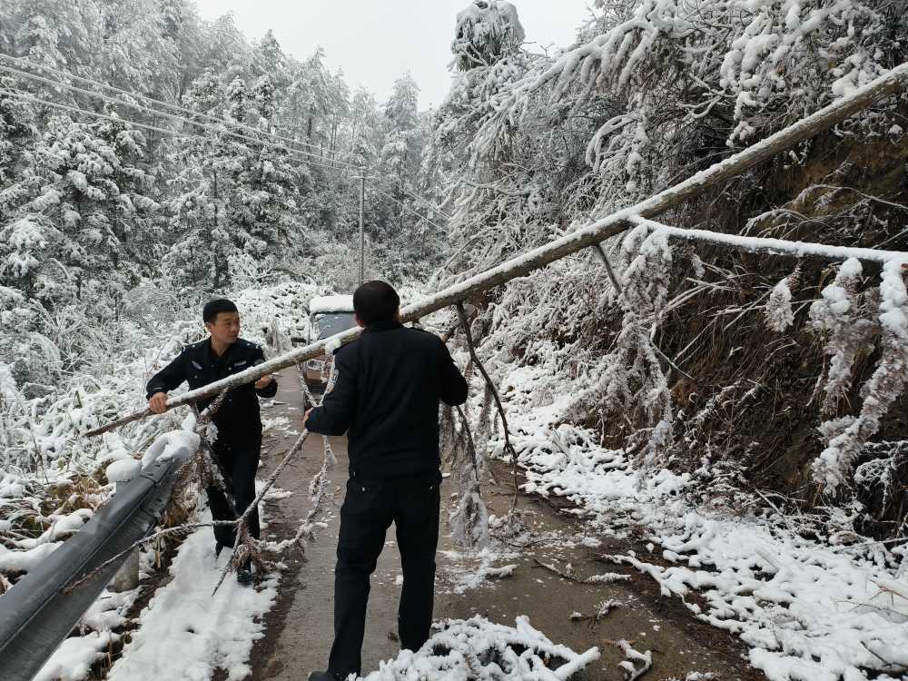 龙山县公安局桂塘派出所民辅警清除拦住路面的树木。单位供图