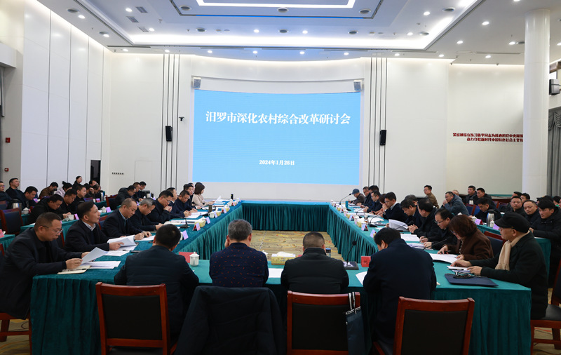 研讨会现场。汨罗市委宣传部供图