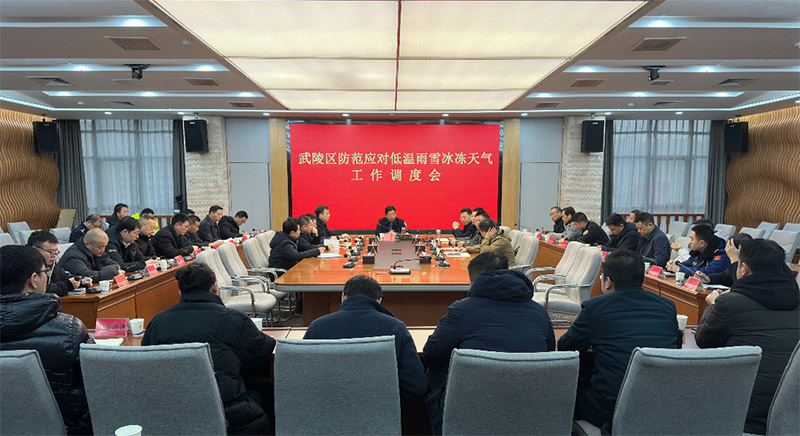 武陵區召開防范應對低溫雨雪冰凍天氣工作調度會。單位供圖
