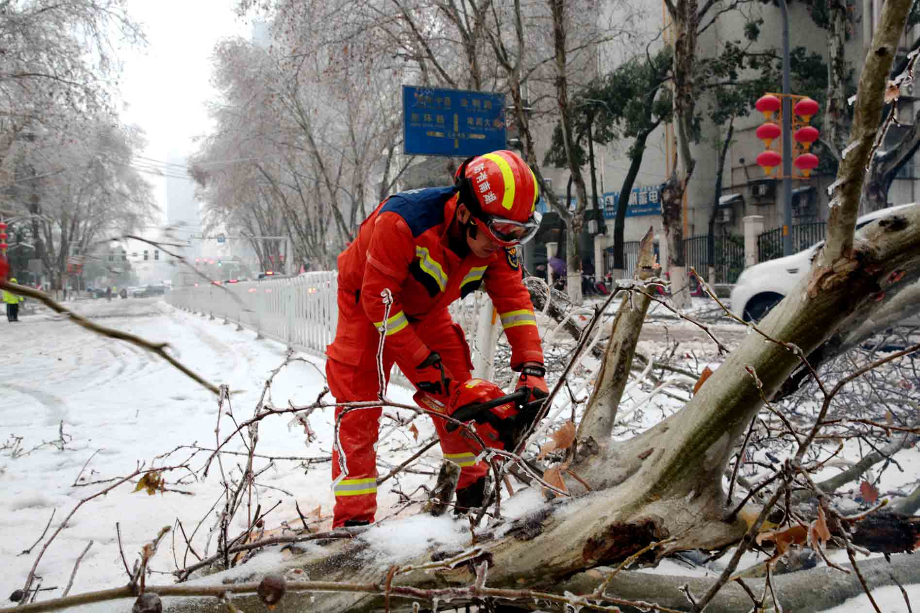 2月3日，岳陽樓區建湘路附近，一顆約10米長的大樹因不堪積雪重負倒在道路中央，導致該地點交通幾近癱瘓。消防救援人員使用機動鏈鋸對樹干進行切割，及時保暢排險。李治國攝