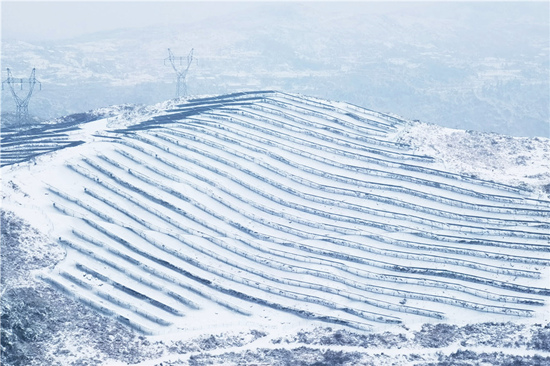 延綿的光伏板被冰雪覆蓋。受訪單位供圖