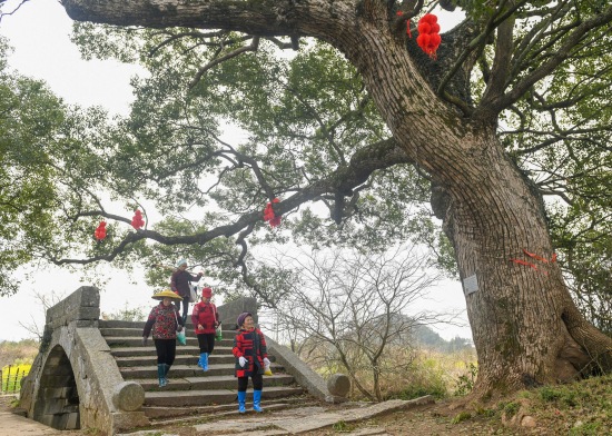 2024年3月2日，湖南省永州市江华瑶族自治县沱江镇下蒋村，人们劳作后经过古桥回家。杨丁香摄