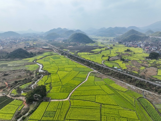 2024年3月2日，湖南省永州市江华瑶族自治县沱江镇下蒋村，田野里金灿灿的油菜花与同善亭、安乐桥、古樟树交相辉映，形成一道美丽的风景线，吸引了众多游客驻足赏花拍照。蒋克青摄