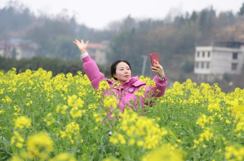 游客在油菜花田里赏花拍照（单位供图）