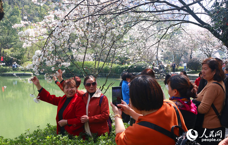 市民赏花。人民网记者 刘宾摄