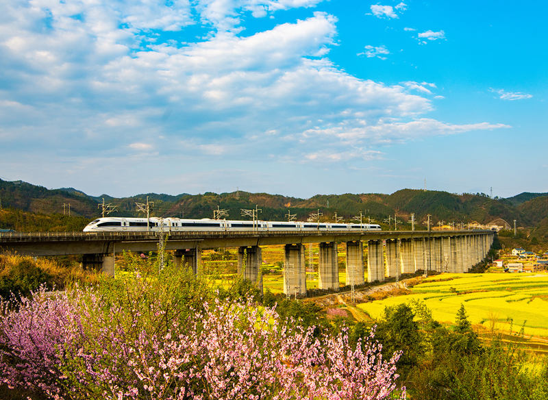 沪昆高铁列车从油菜花的田垄中穿行而过。田文国摄
