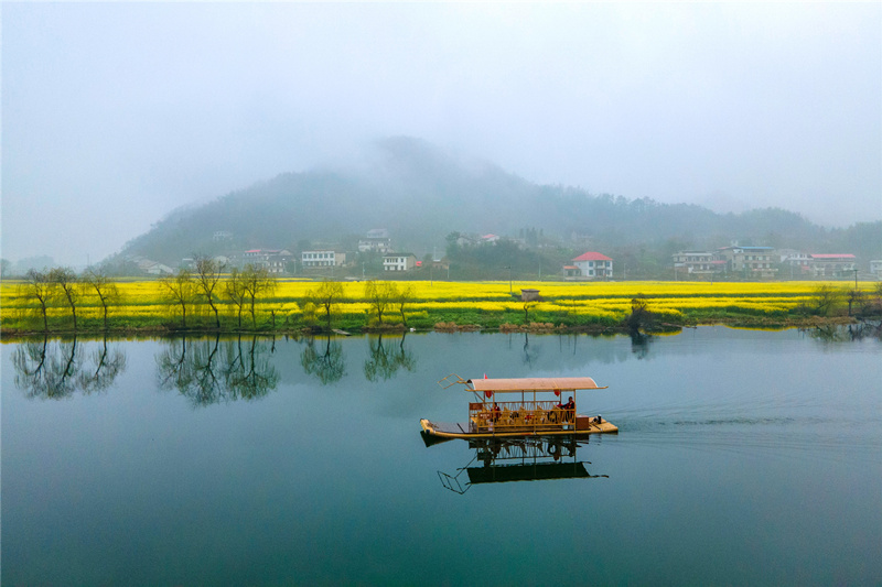 双峰县梓门桥镇侧水河边油菜花盛开。李建新摄