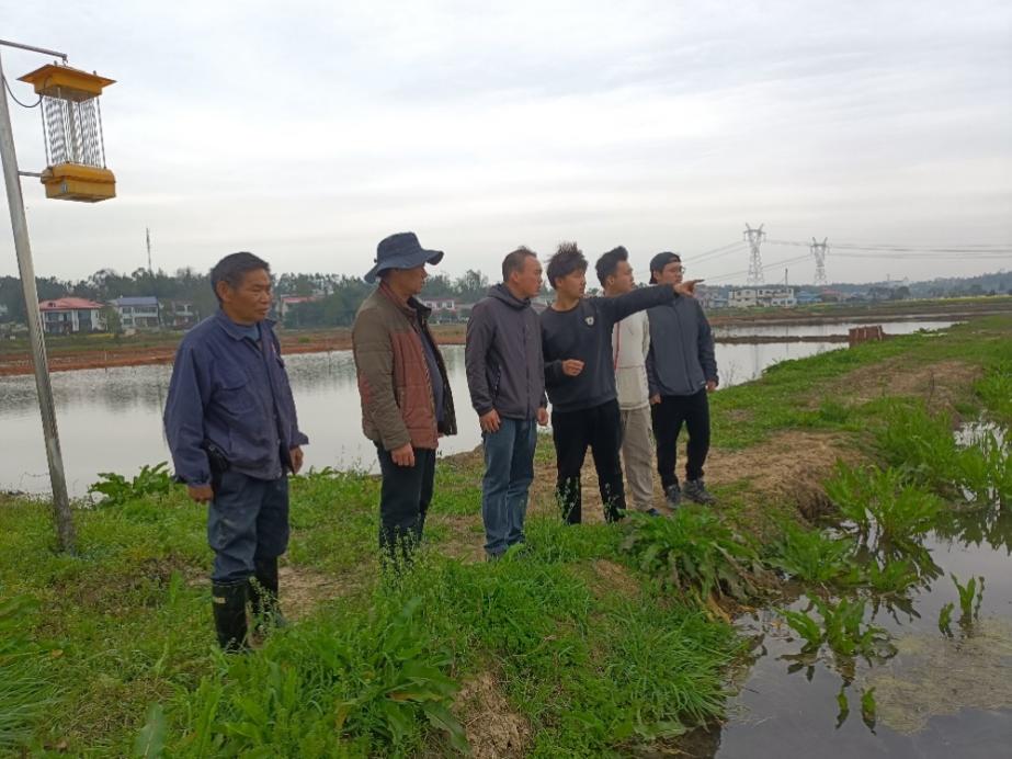 支農小隊現場講解稻蝦綜合種養高產低碳技術模式。單位供圖