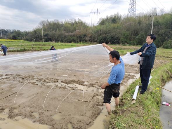 朝龙村驻村第一书记在育秧基地指导育秧工作情况。 受访单位供图