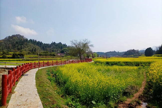 马家村的田园景色。冯奎 摄影
