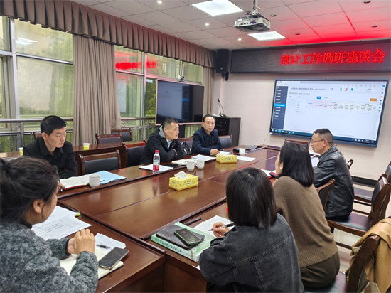 湘潭县统计局召开统计工作调研座谈会。单位供图