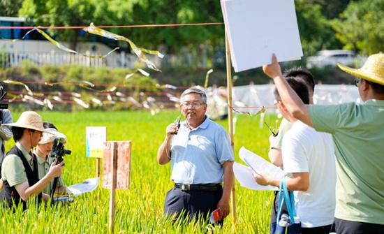 隆平高科水稻首席专家、种业科学院院长杨远柱介绍新品种。受访单位供图