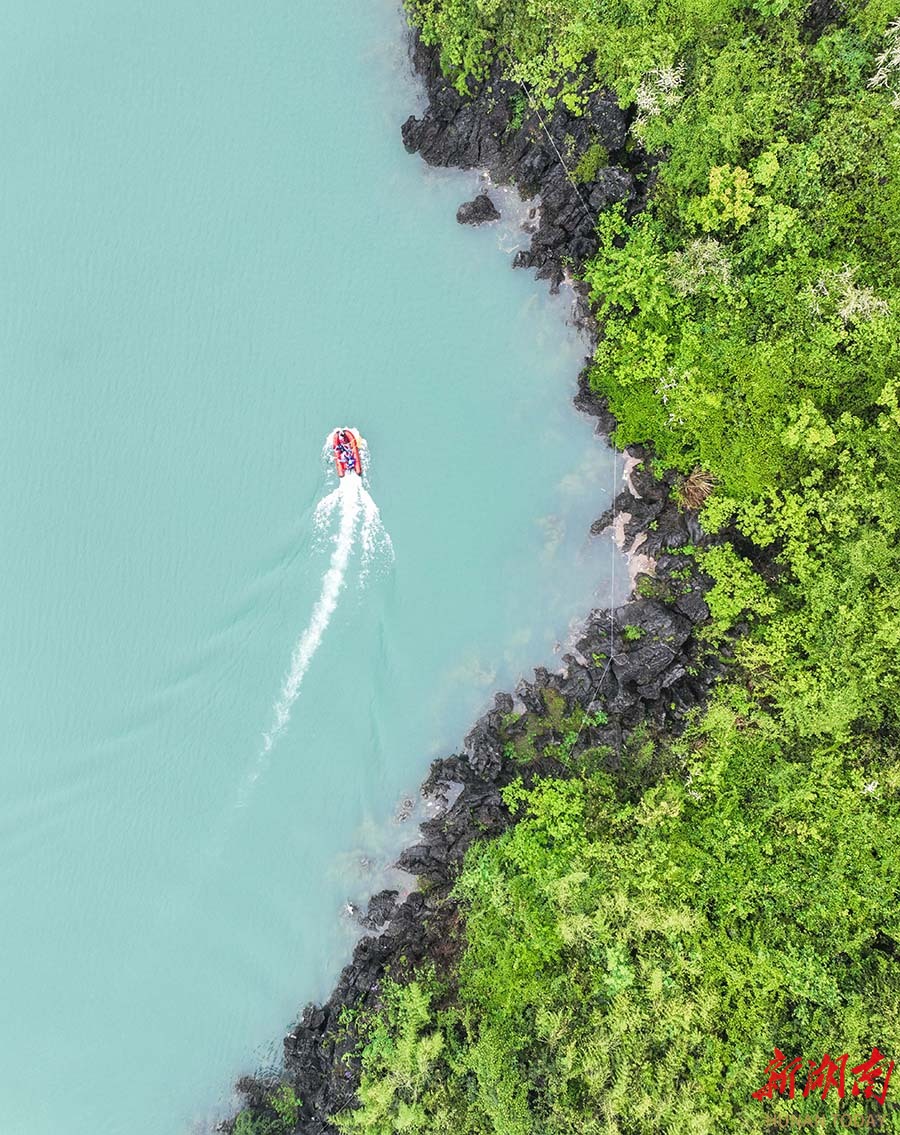 巡库保洁护生态