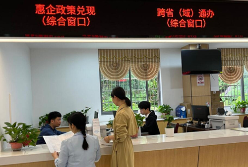 政務服務現場。羅麗攝