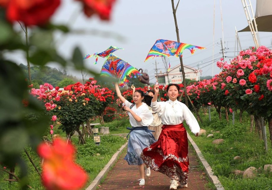身着汉服的女孩在金甲玫瑰园里玩风筝。曹正平摄 