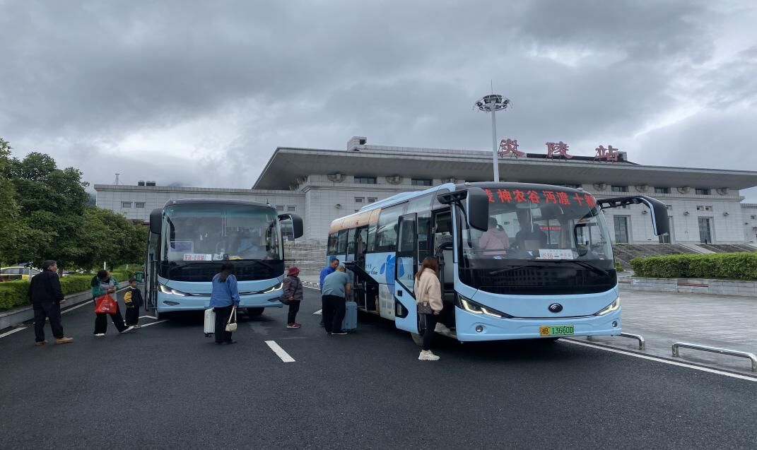 提供旅游專線。單位供圖