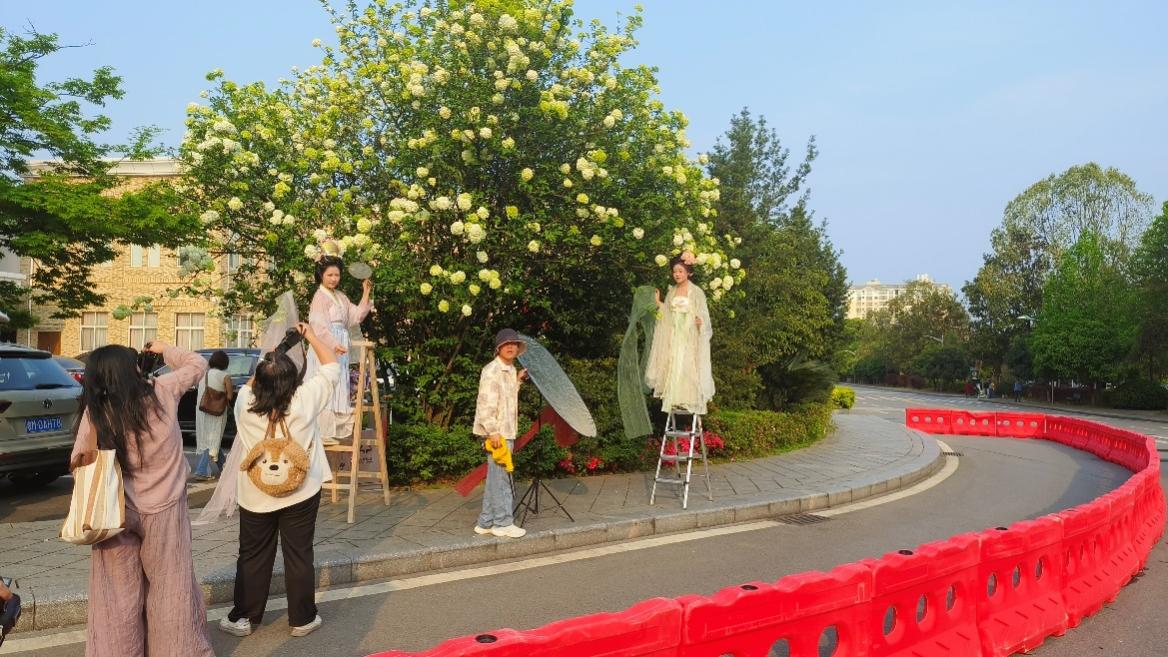  Set up roadblocks to facilitate tourists to take photos and "punch in". Photographed by He Yaohong