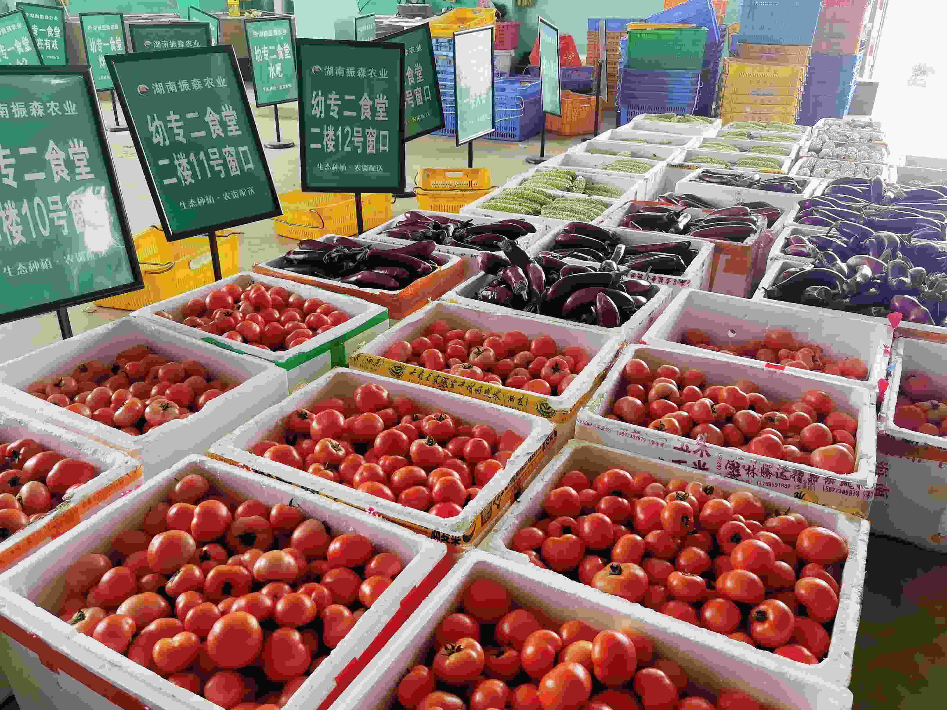 新鲜蔬果抢先上市（单位供图）