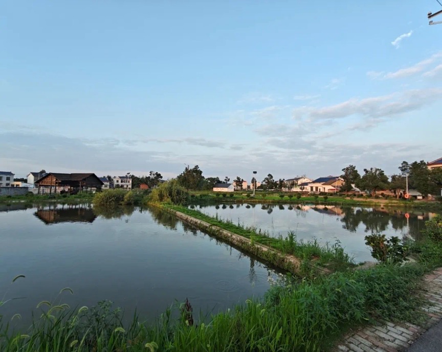乔口镇田心坪村。单位供图