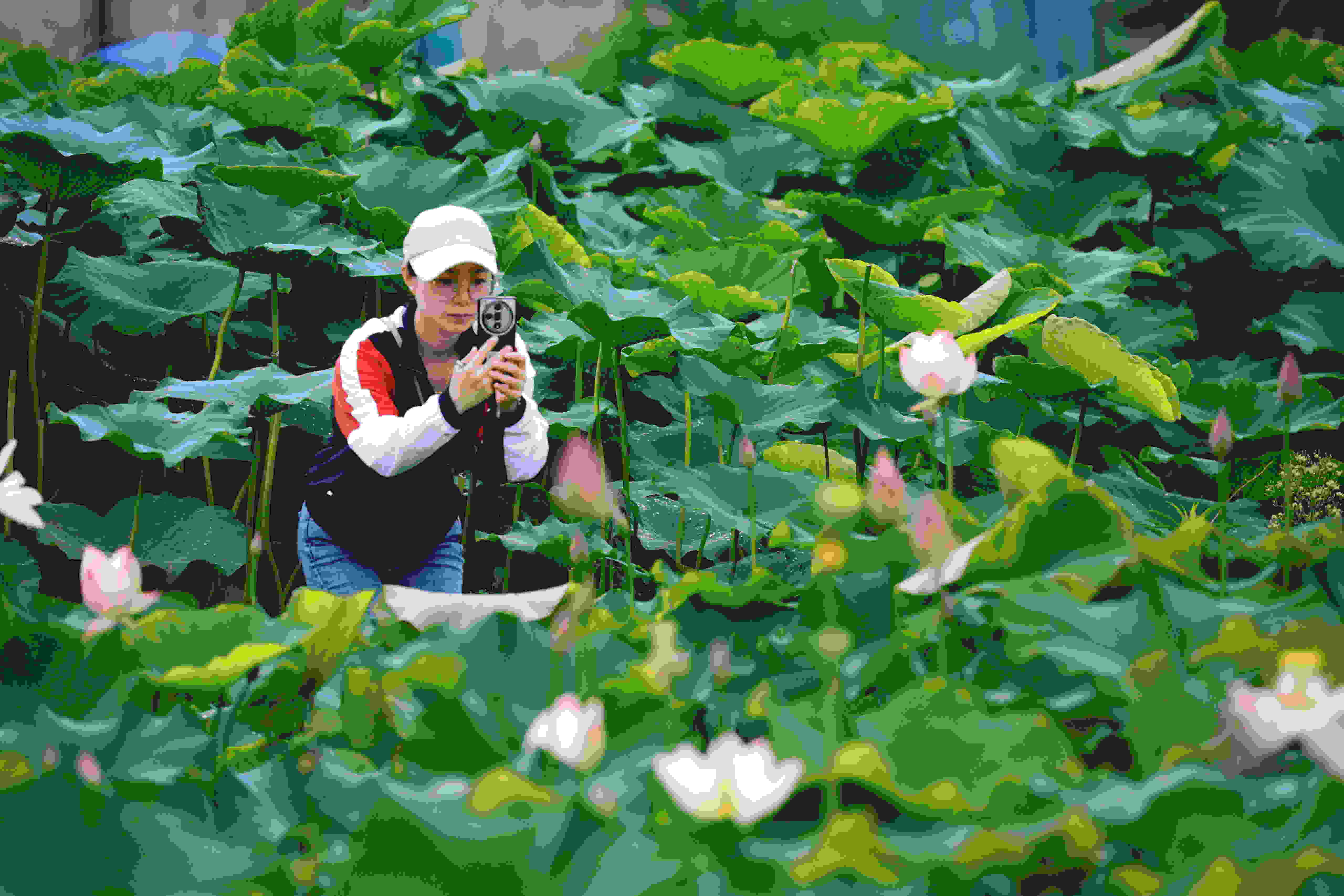 花香袭人醉心房,静观此景乐无疆。曾玉娟摄