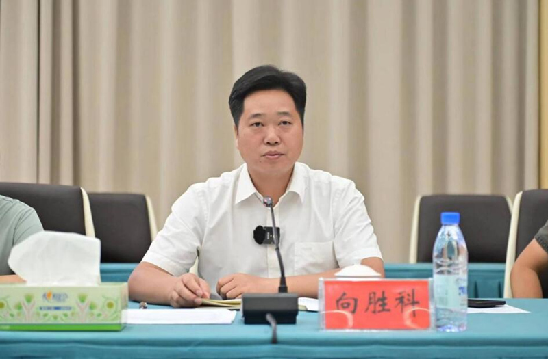 洪江市委副书记向胜科回答媒体记者提问。受访单位供图