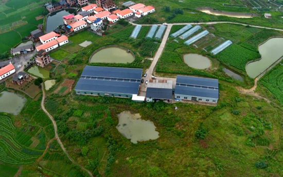茂家社区小蚕养殖基地。郑时仁摄