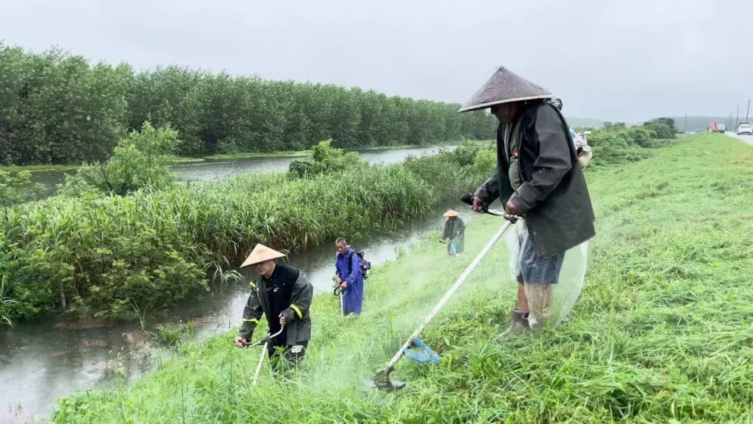 南县防汛大堤清基扫障现场。单位供图