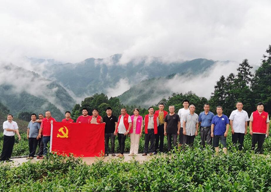 蔚竹口村党总支部组织党员到工业茶种植基地谋划村级产业发展。受访单位供图