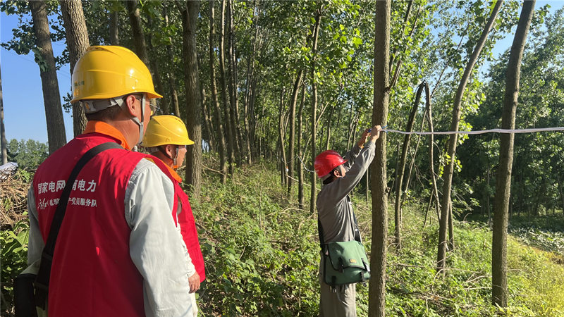 7月6日，國網君山區供電公司電力員工在架設照明線路。楊小麗攝