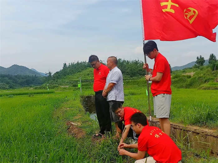 博士团对水稻进行幼穗剥检。受访单位供图