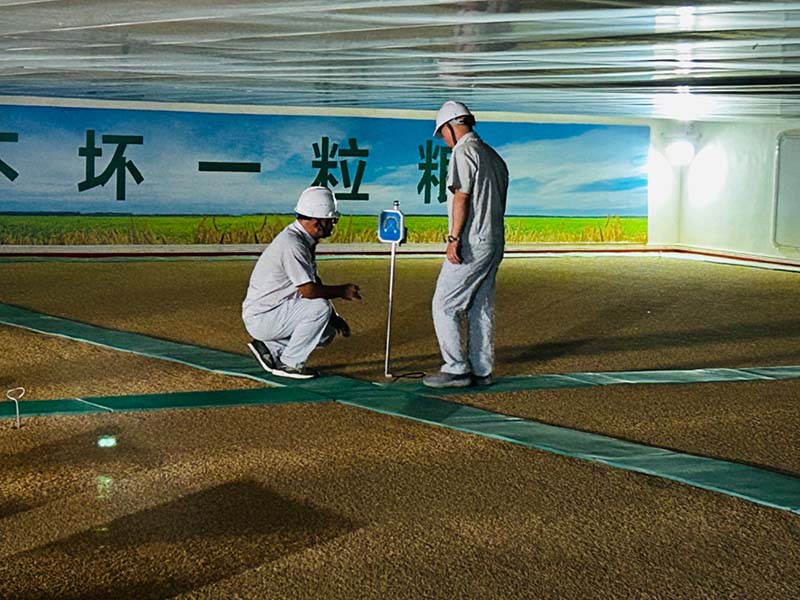 工作人员在检查粮温情况。何彪摄