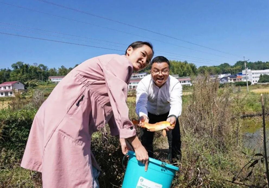 青山桥镇竹峰村片长戴镭，直播鱼稻共生产业。受访单位供图