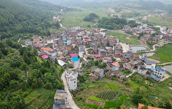 小崗村。受訪單位供圖