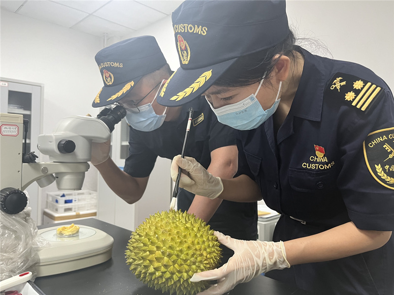 海关人员在进行检验。受访单位供图