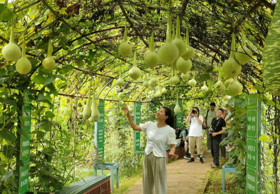 永州零陵：发展生态经济