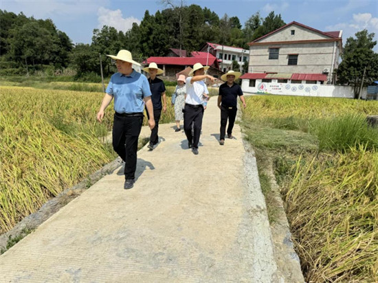 进出口银行湖南省分行赴武冈市万山社区调研驻村帮扶和乡村振兴工作。企业供图