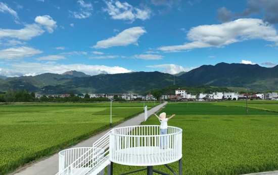 广袤的农田广场。受访单位供图
