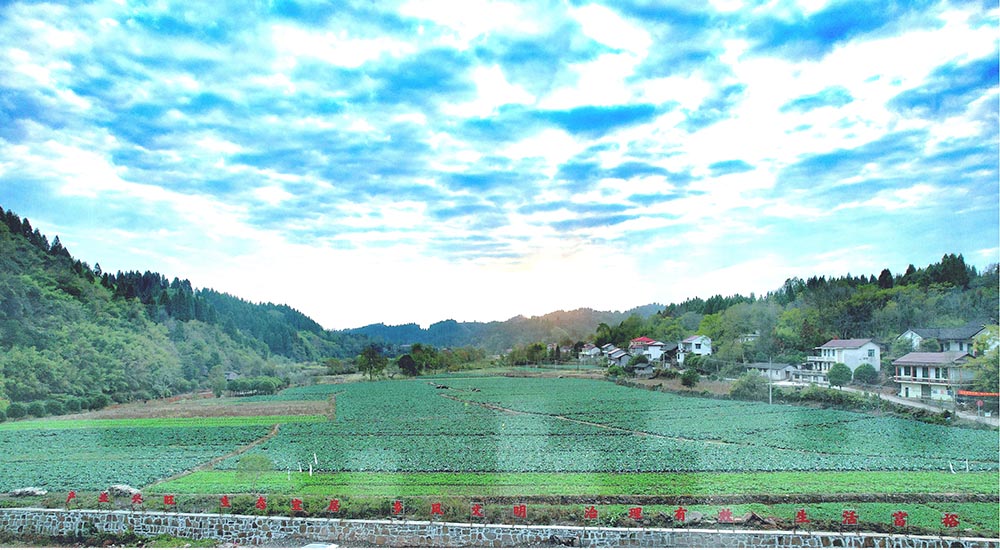 沅陵莲花池村蔬菜产业基地。资料图