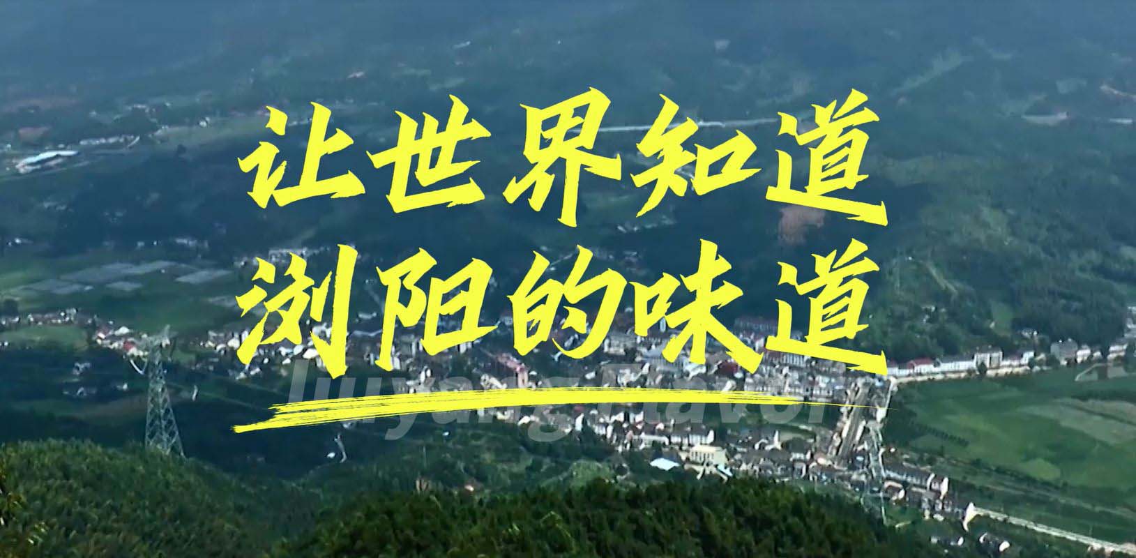 《让世界知道浏阳的味道》歌曲MV。受访单位供图