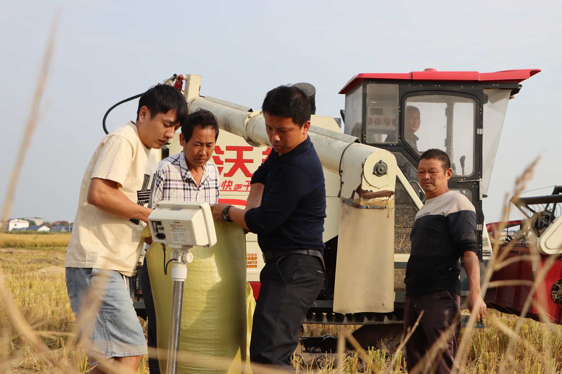 图为湖南省农科院科研人员认真比对、筛选，记录变异植株数据。任杰摄