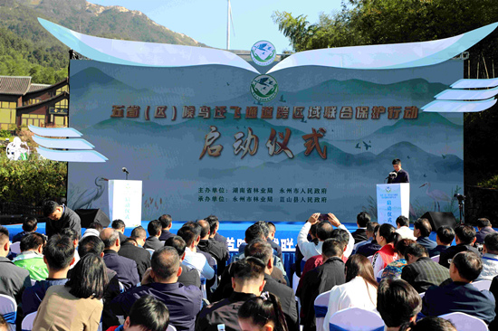 活动现场。受访单位供图