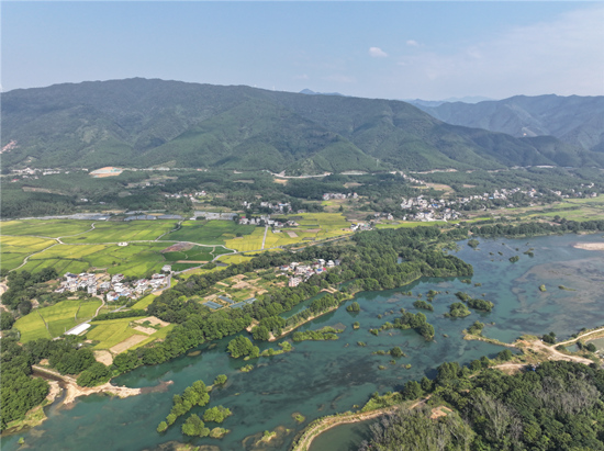 涔天河湿地公园。严许进摄