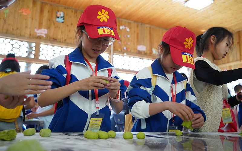 西湖牧业景区，学生们正在手工制作苜蓿草馒头。单位供图