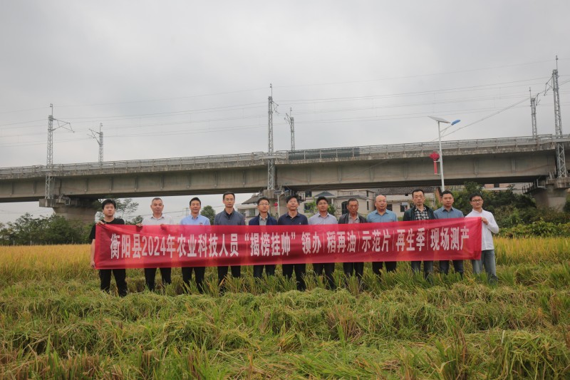 参加现场测产验收的工作人员为测产结果点赞。王勤 摄