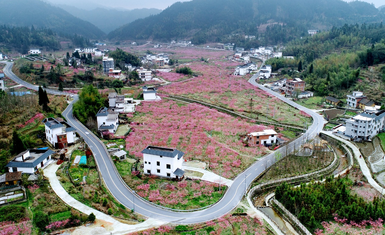 千年鸟道途径的桂东县网红民宿村青竹村。邓仁湘摄