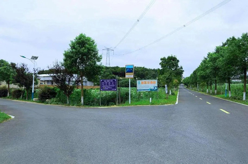 采摘园连通路。单位供图