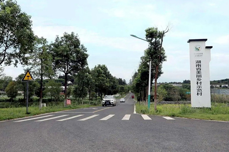 示范村产业路。单位供图
