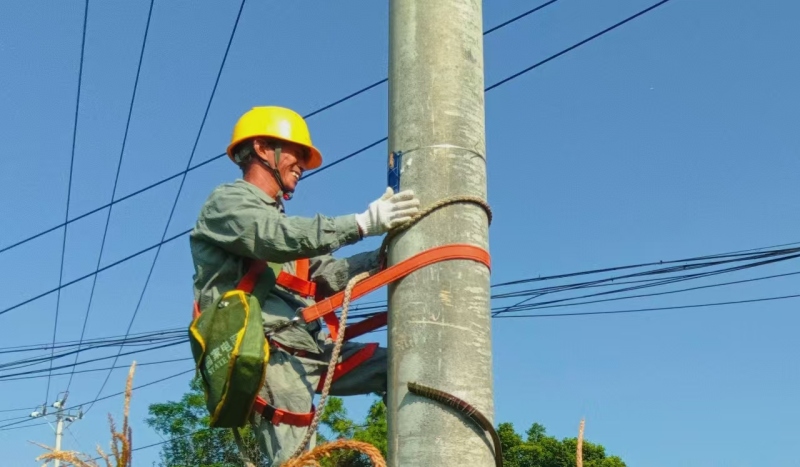 國網邵陽供電公司組織工作人員深入10千伏九雙線開展通道治理，同時對缺失、模糊的杆號牌進行加裝與更換。雷一鳴攝