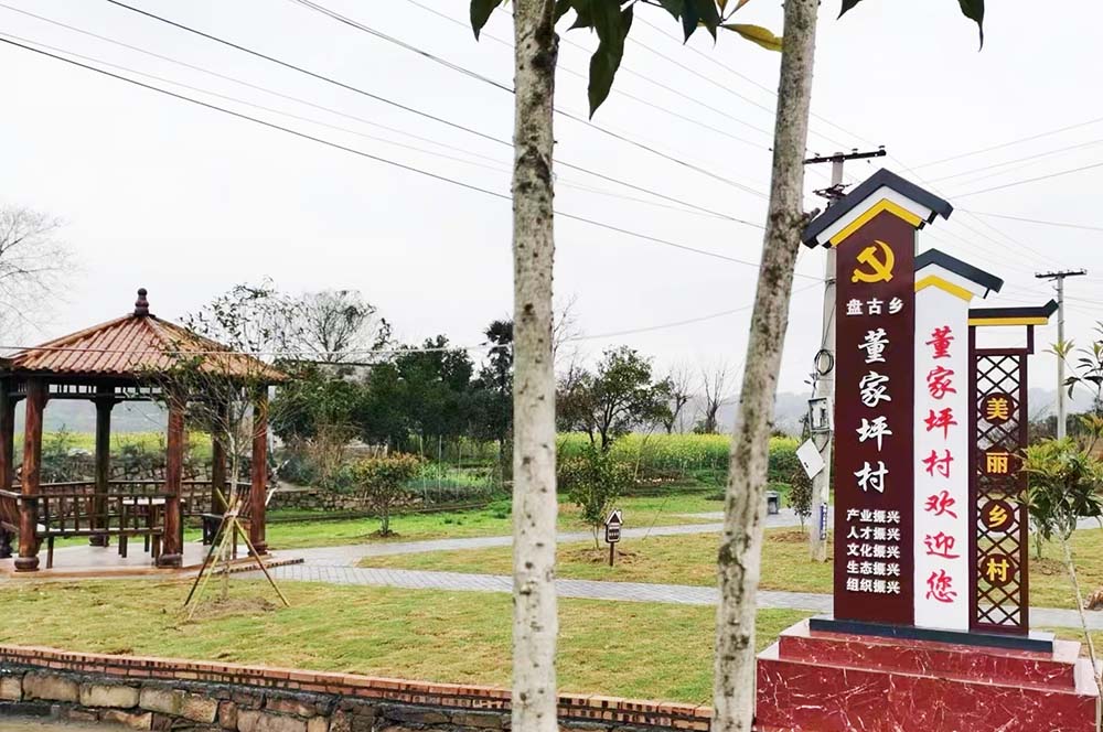 董家坪村美麗鄉村建設現狀。資料圖